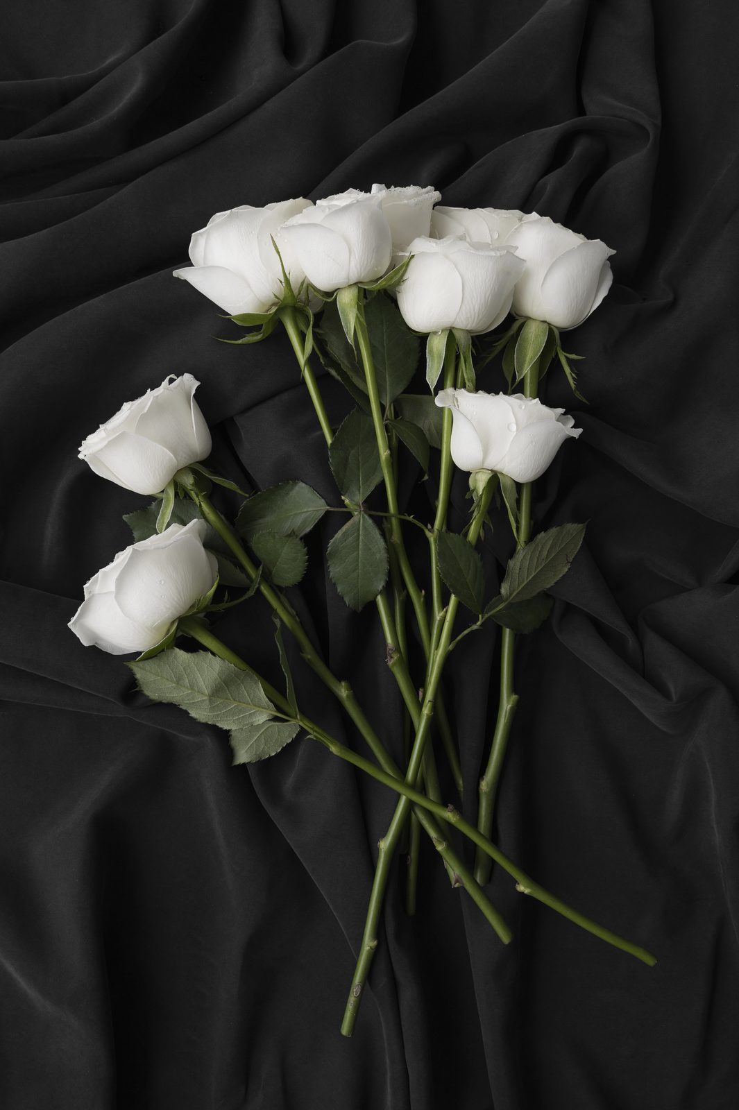 White Rose Bridal wedding gown